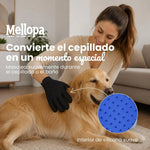 Cepillo Dental Infartir 360 TM