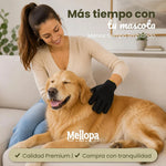 Cepillo Dental Infartir 360 TM
